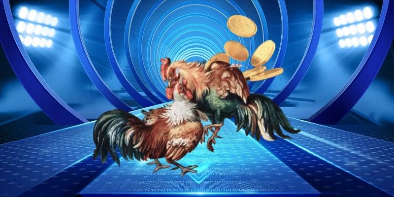 Đá gà trực tuyến