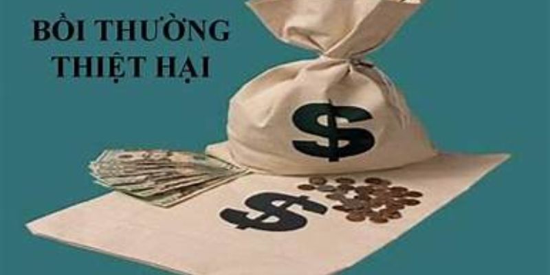 Khiếu nại và bồi thường